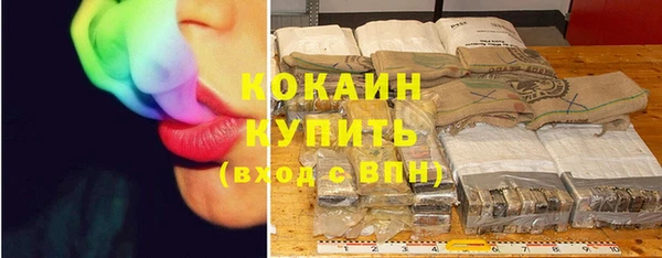 спайс Новодвинск