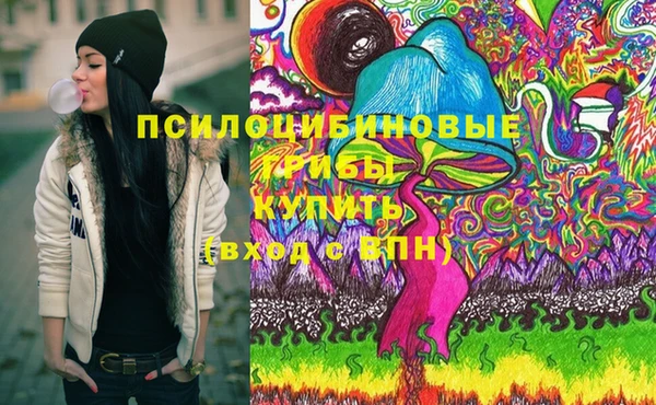 спайс Новодвинск