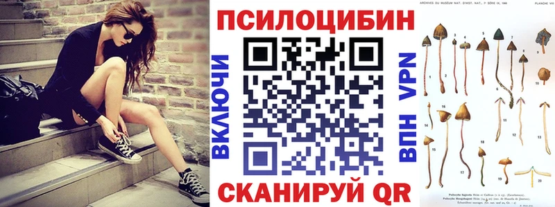 Галлюциногенные грибы MAGIC MUSHROOMS  продажа наркотиков  Константиновск 