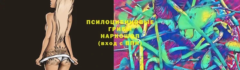 Галлюциногенные грибы прущие грибы  магазин продажи   Константиновск 